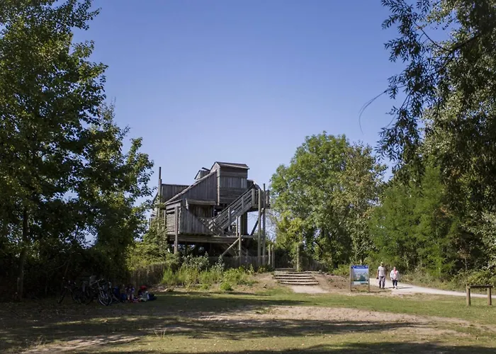 Appartamento à Avec Balcon Et Cuisine équipée - Fr-1-788-57
